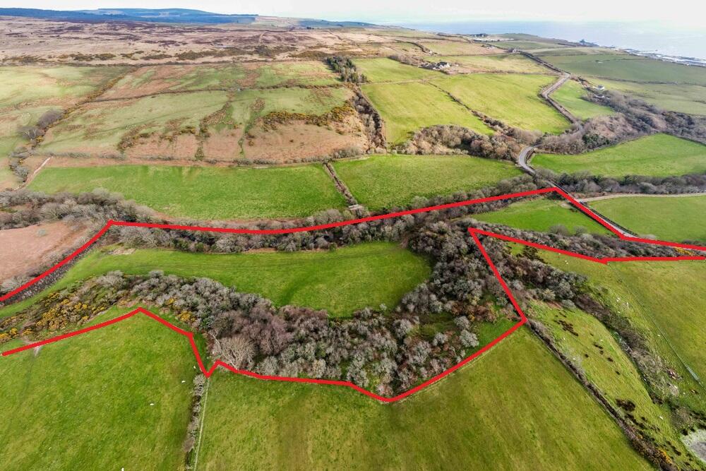 Bell Vue Farm, Sliddery, Isle Of Arran